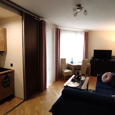 Mieszkanie Blisko Centrum Kalisza Z Garazem *